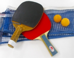 卓球